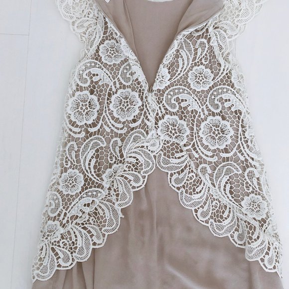 Soft Light Tan and White Lace Dress - Picture 3 of 5